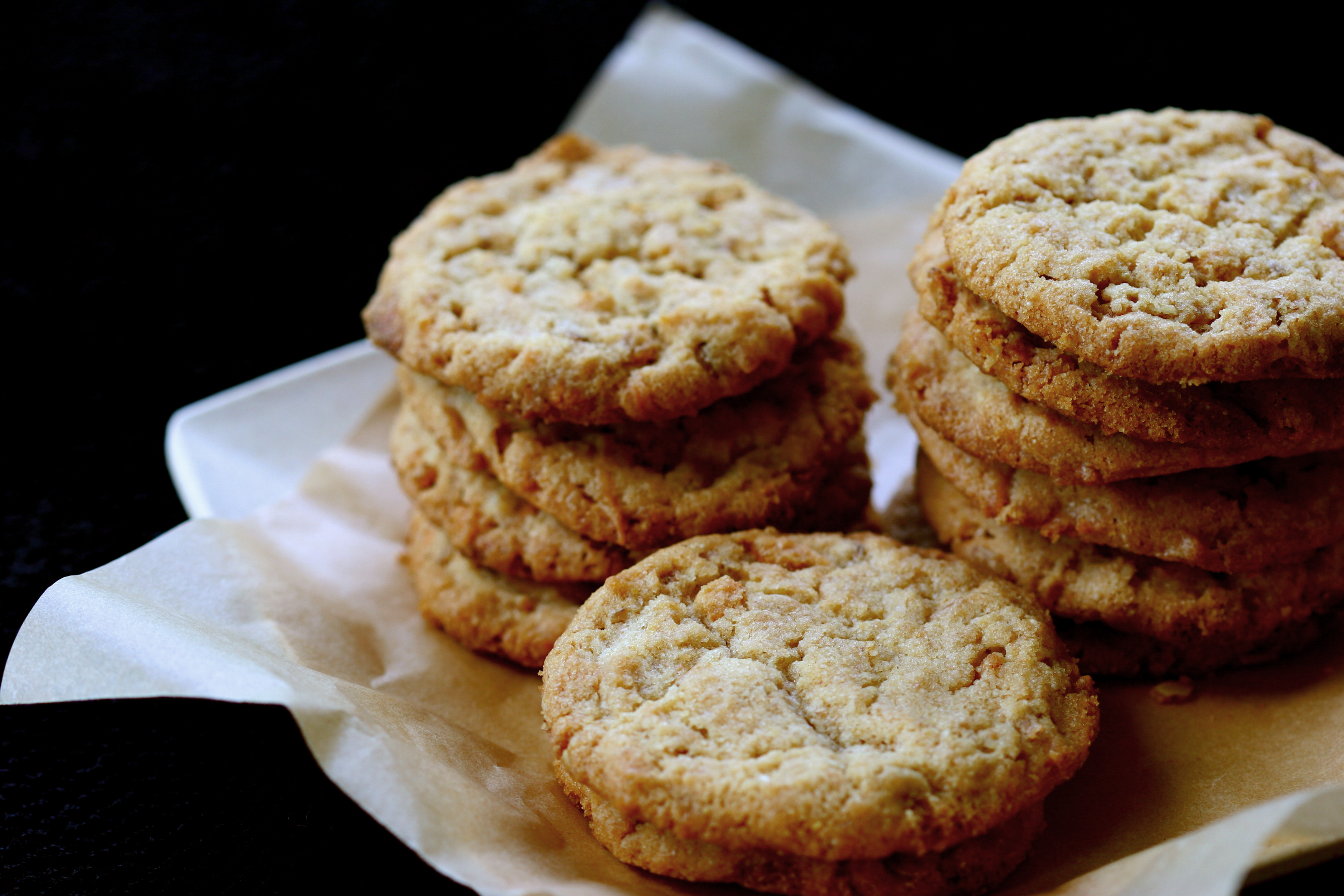 Very Good Cookies {Saving Grace} - Raisin & Fig